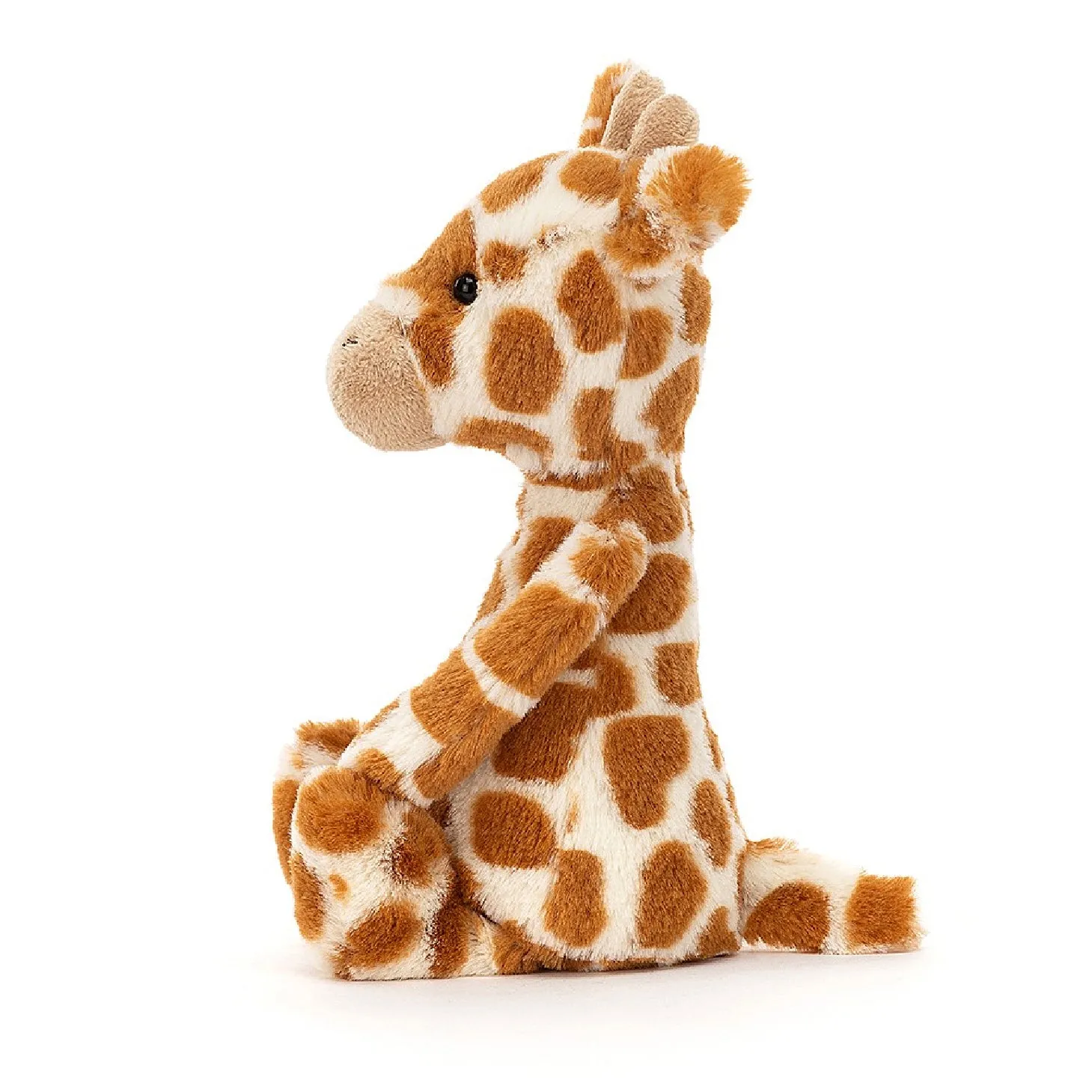 Bashful Giraffe