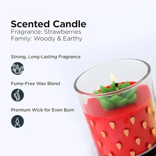 Kuber Industries Scented Candles | Fragrance Candles | Candles for Wedding | Candles for Bedroom | Birthday Candles | Valentines Day Gifts Candles | DY-230709B | Transparent