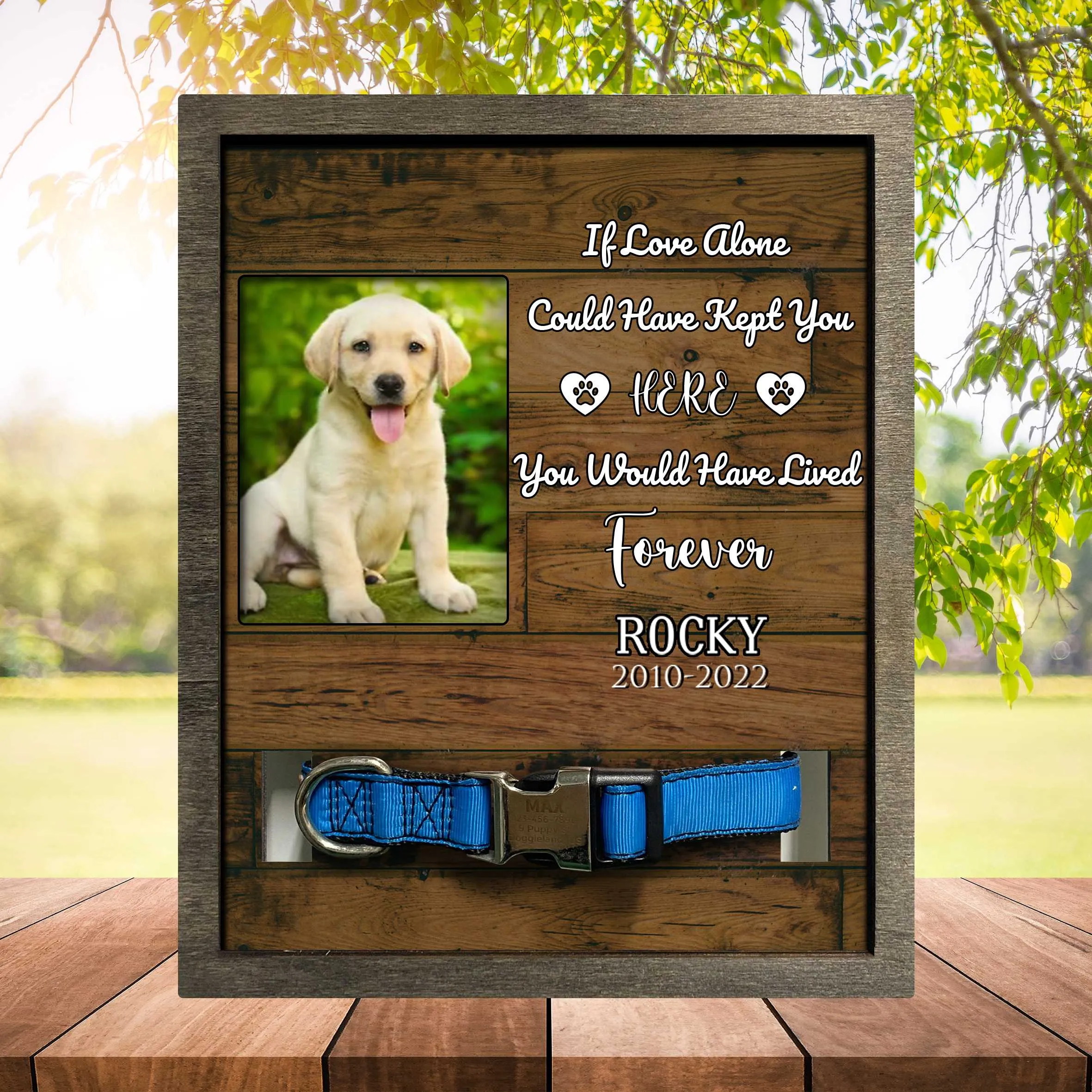 My Favorite Hello And Hardest Goodbye, Dog Photo Keepsake, Pet Loss Sympathy, Dog Memorial Plaque