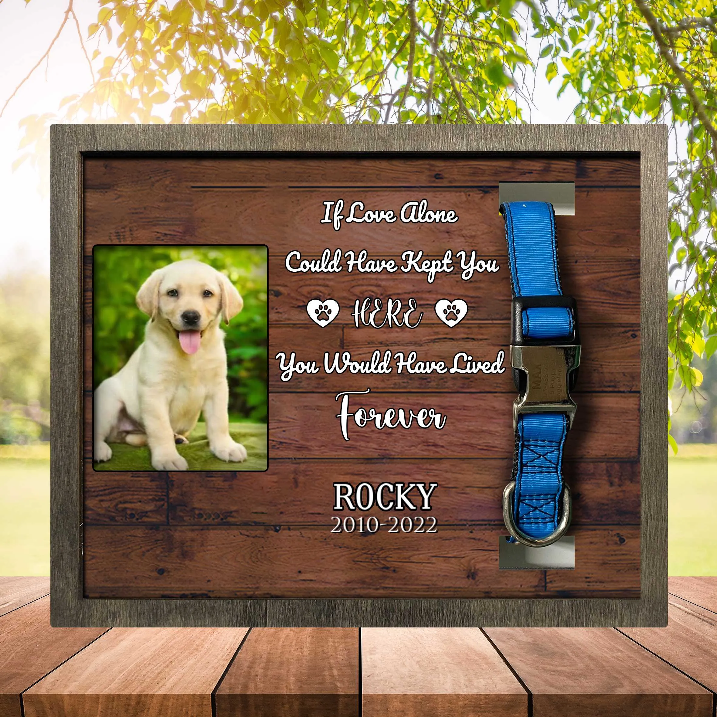 My Favorite Hello And Hardest Goodbye, Dog Photo Keepsake, Pet Loss Sympathy, Dog Memorial Plaque