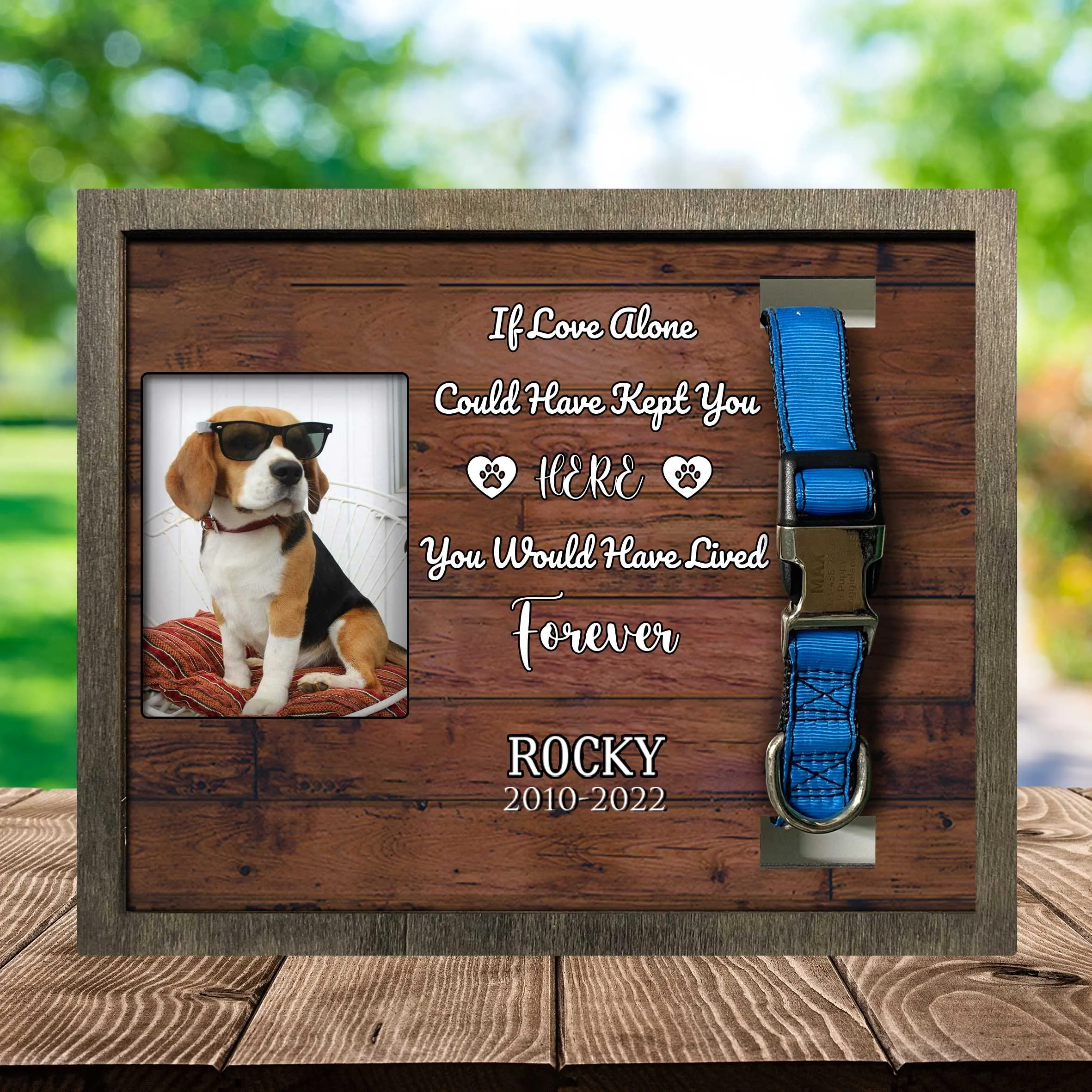 My Hardest Goodbye Picture Frame, Pet Memorial Picture Frame, Loss Of Dog Gifts