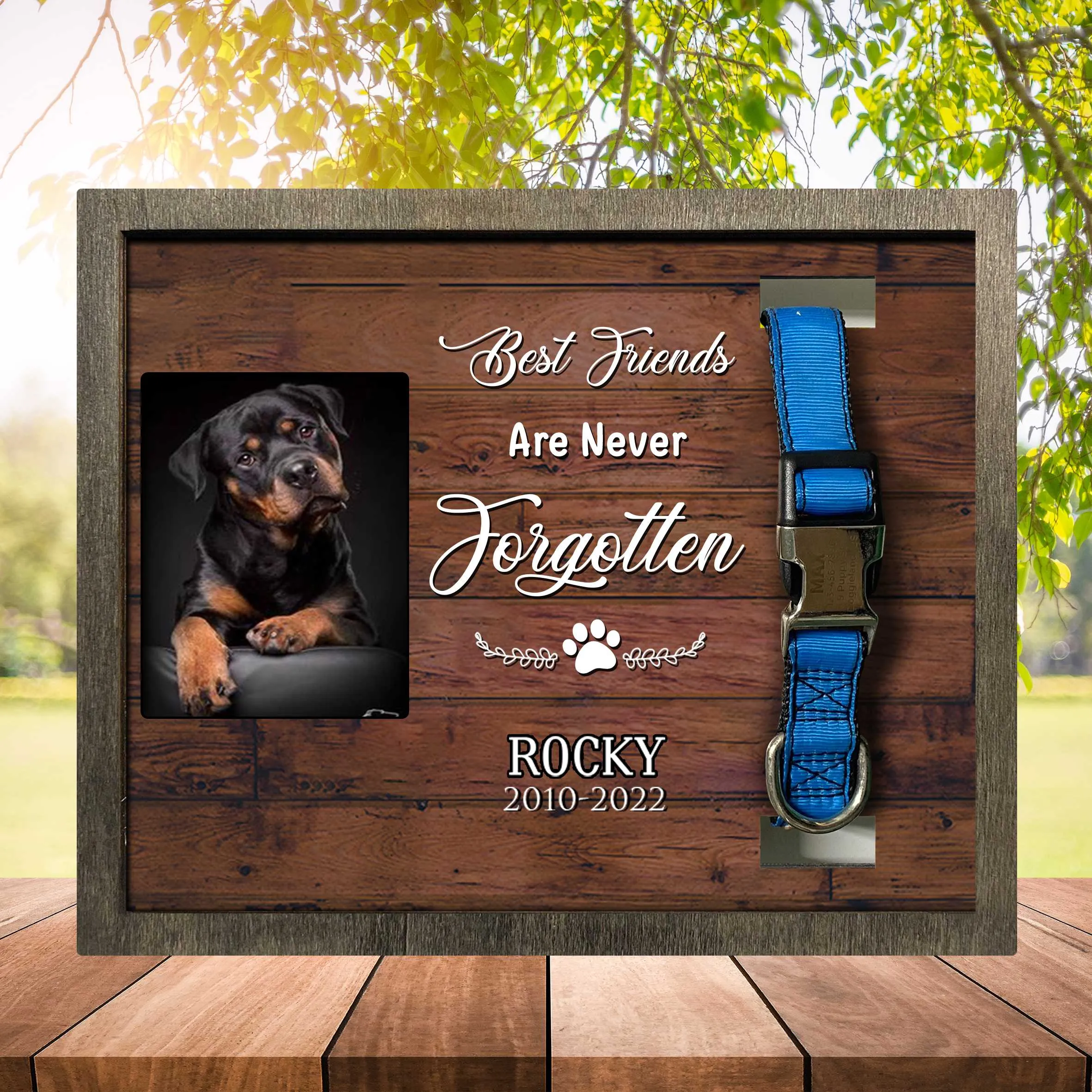 Pet Collar Keepsake Memorial Picture Frame, A Beautiful Remembrance Gift For A Grieving Pet Owner