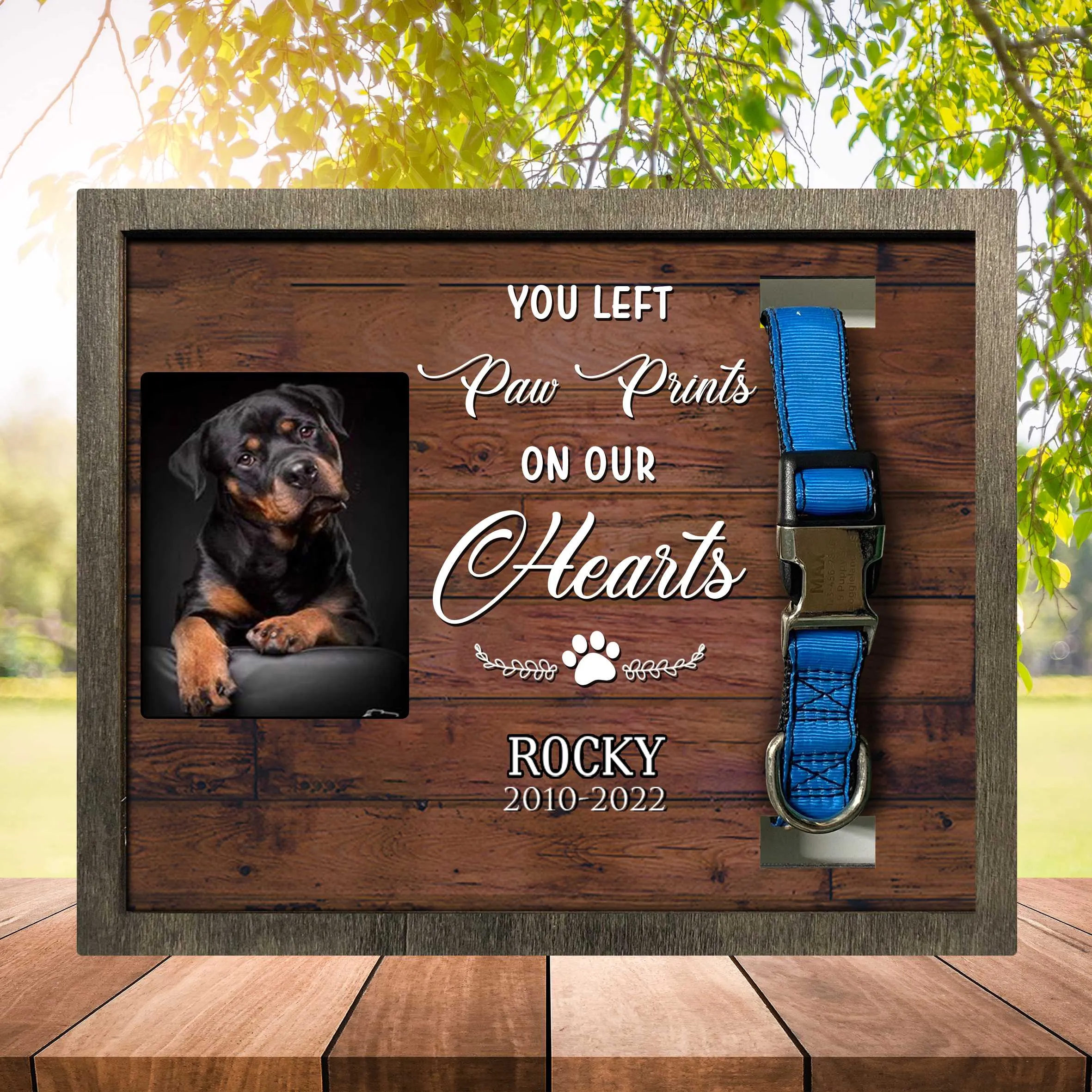 Pet Collar Keepsake Memorial Picture Frame, A Beautiful Remembrance Gift For A Grieving Pet Owner