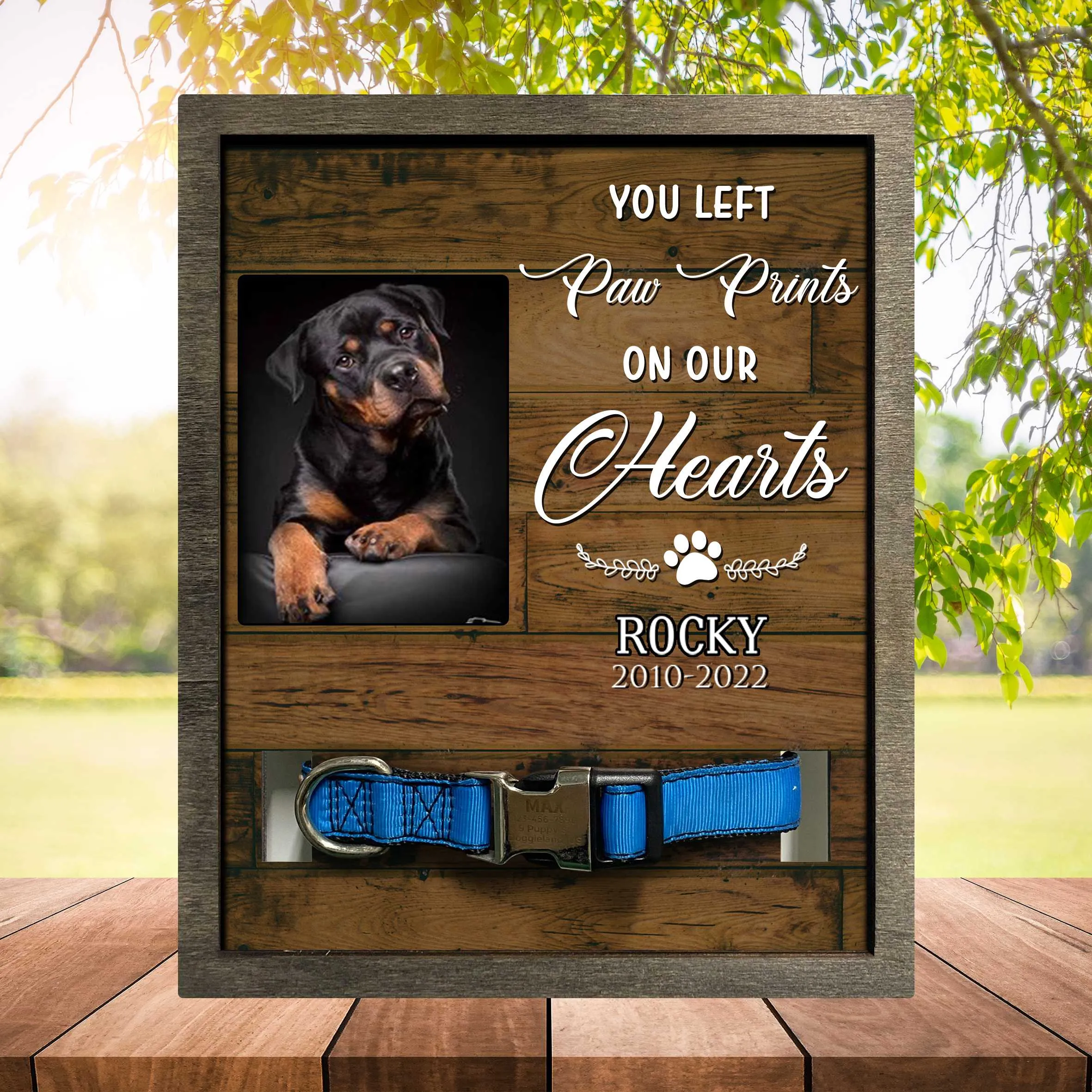 Pet Collar Keepsake Memorial Picture Frame, A Beautiful Remembrance Gift For A Grieving Pet Owner