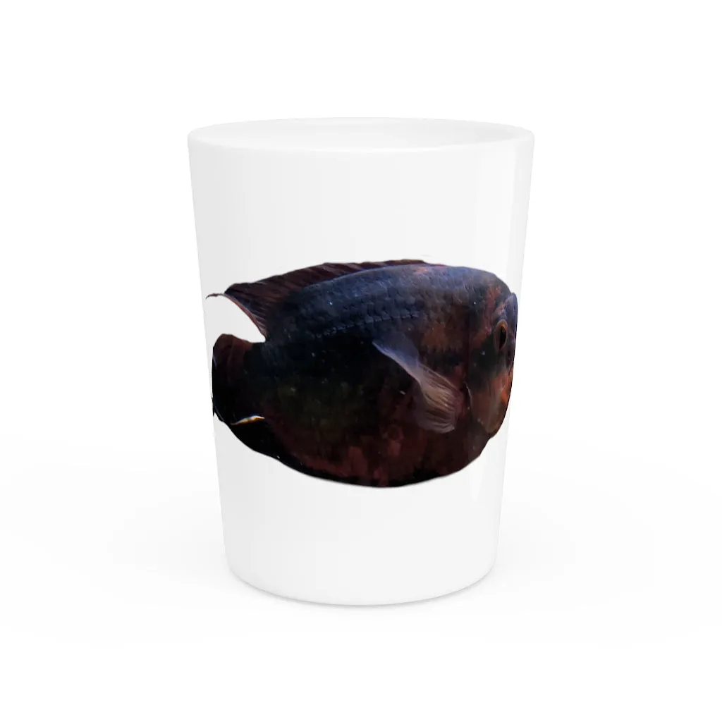 Red Black Fish Shot Glass