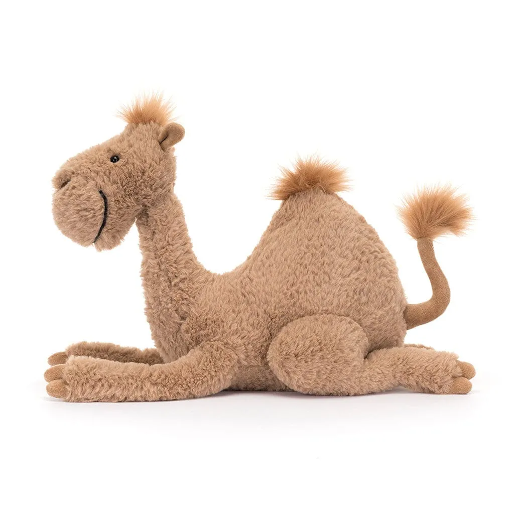 Richie Dromedary Camel